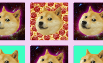 2048 Doge